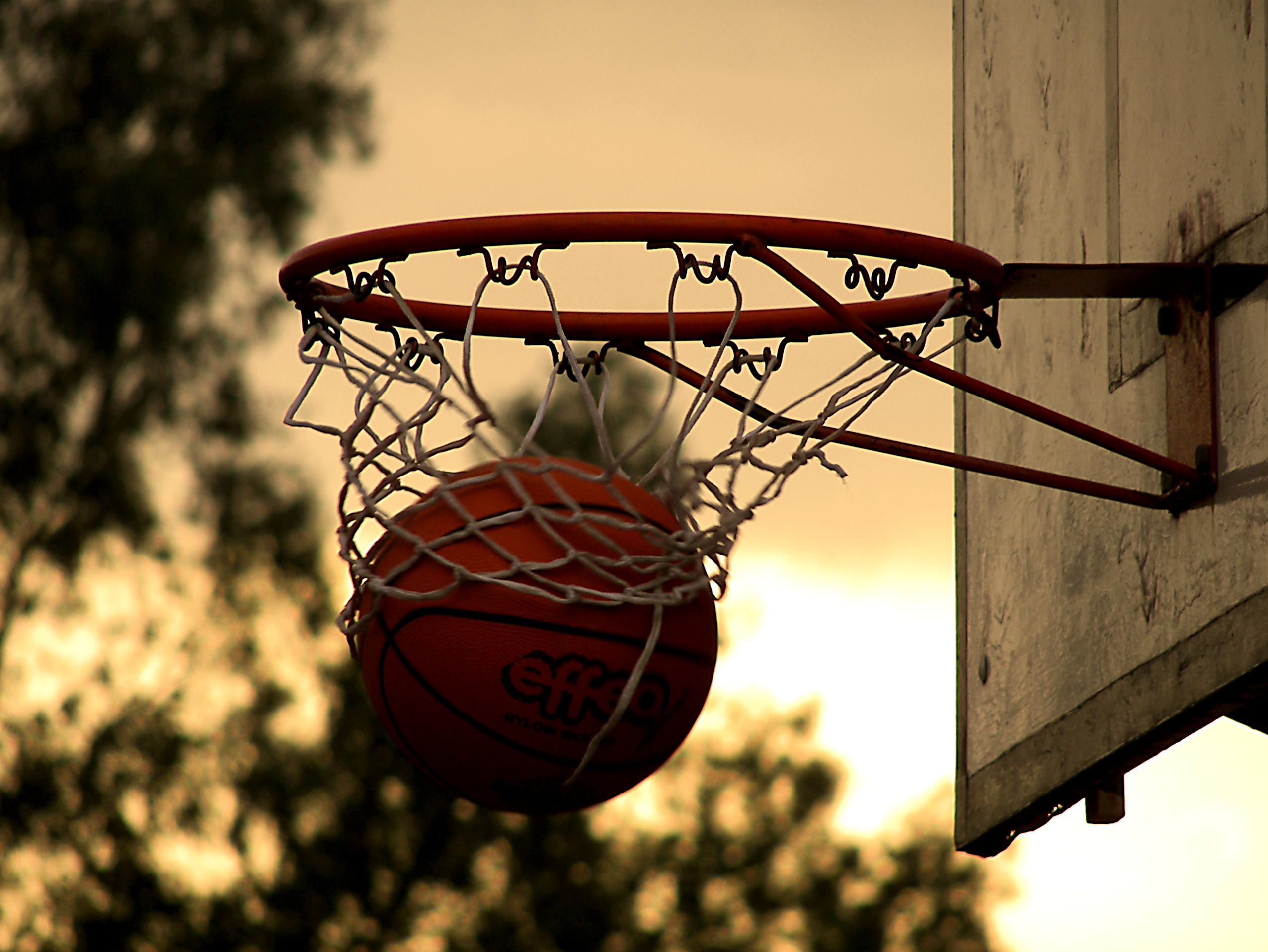 Basket1