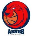 asnieres basketball